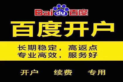 某企业SEM竞价员如何应对竞争的案例研究